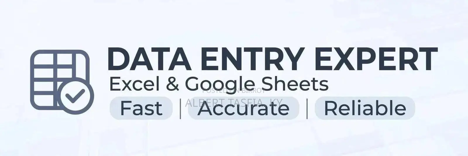 Professional Data Entry Expert - Excel & Google Sheets