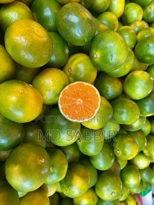 মাল্টা (Orange)