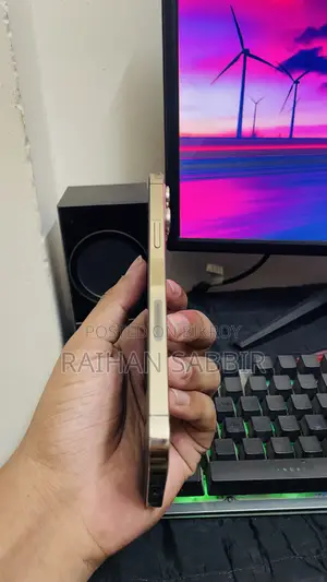 অ্যাপল আইফোন ১২ প্রো ম্যাক্স ২৫৬ জিবি গোল্ড
