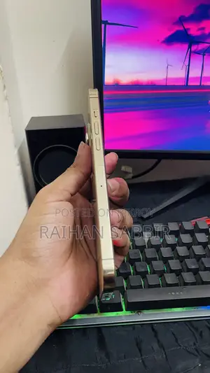 অ্যাপল আইফোন ১২ প্রো ম্যাক্স ২৫৬ জিবি গোল্ড