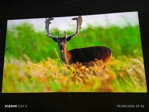 Sony Bravia 55 Inch TV