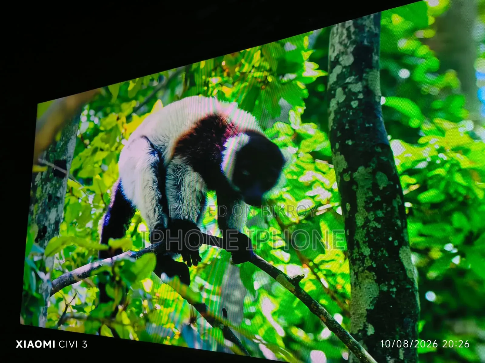 Sony Bravia 55 Inch TV