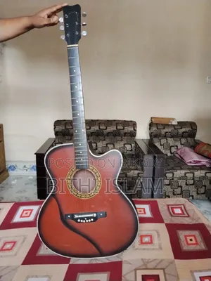 গিটার ইন্সট্রুমেন্ট