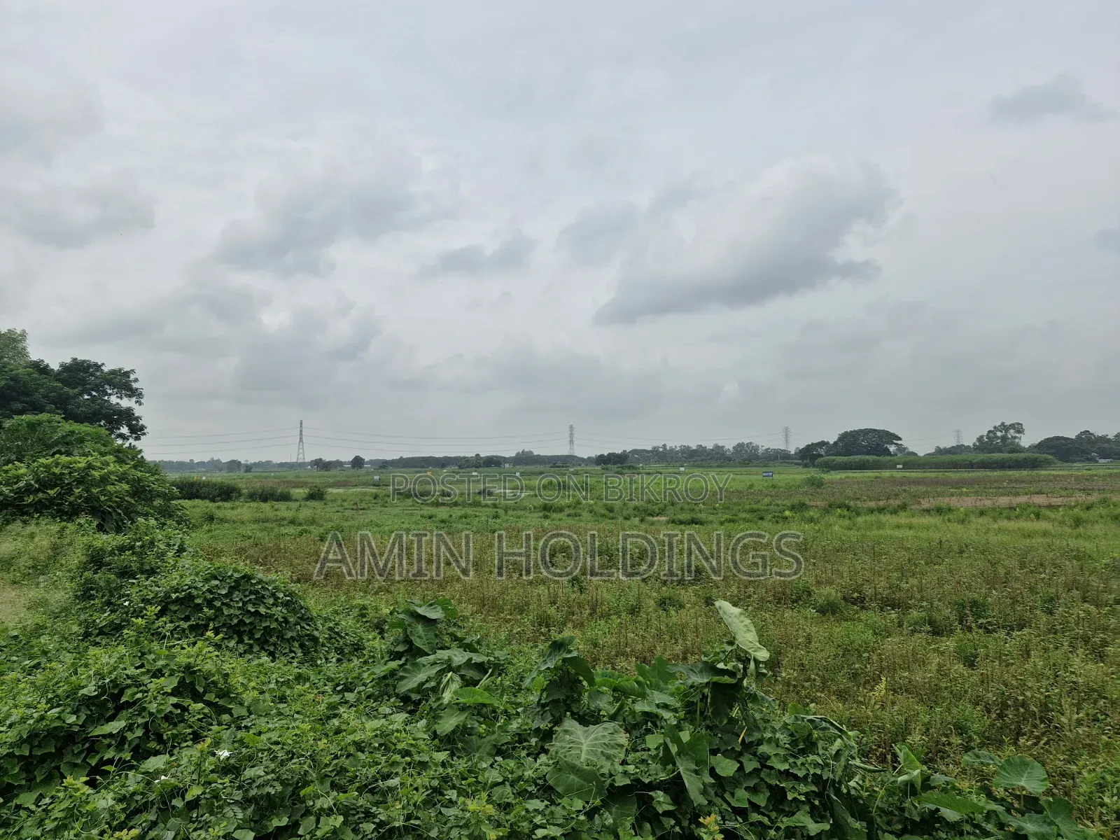 নগরপাড়া বাজার চৌরাস্তায় ১০০ ফিট রাস্তার সাথে ৪১ শতাংশ জমি বিক্রি হবে