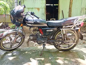 হিরো ডন ১০০ ২০১০ কালো