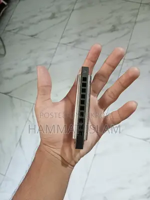 ইস্ট টপ হারমোনিকা