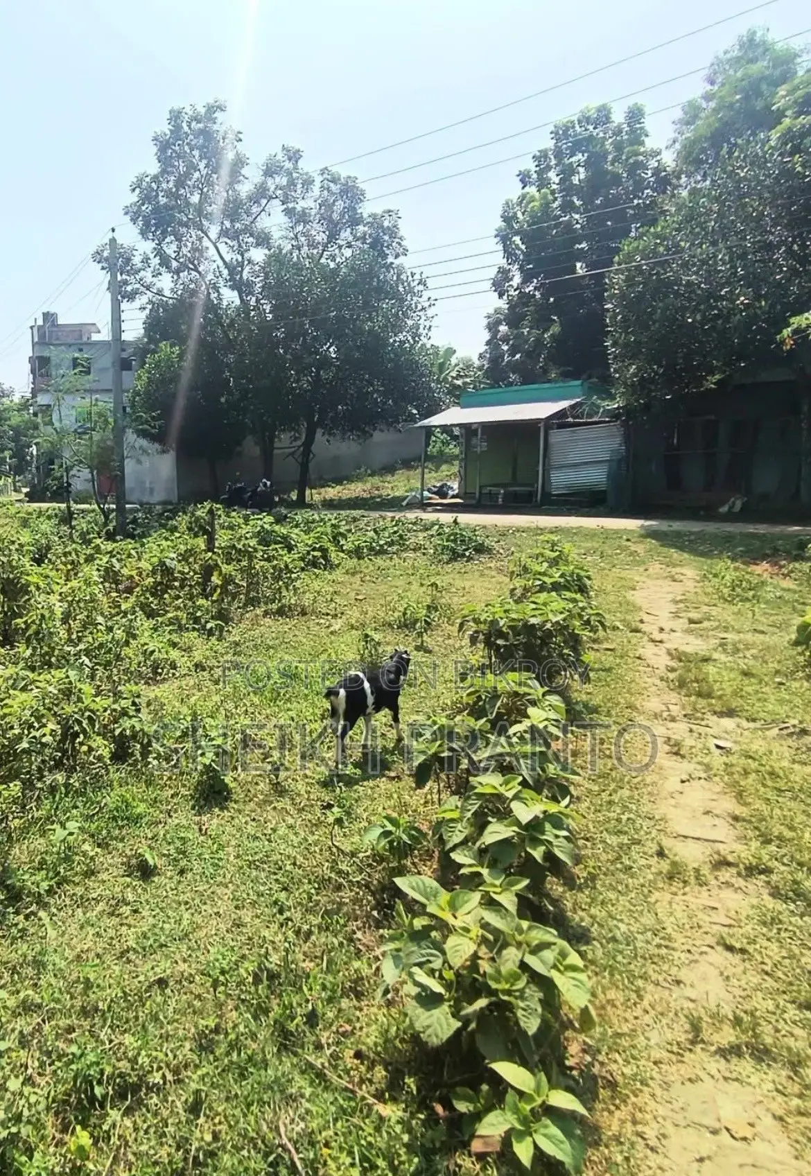 প্রপার্টি ফর সেল