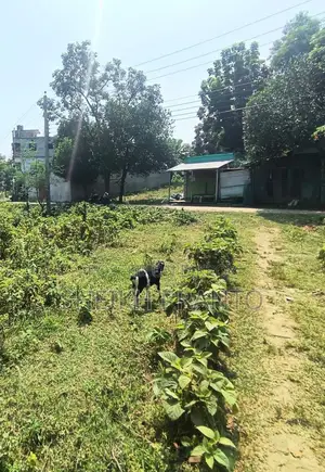 প্রপার্টি ফর সেল