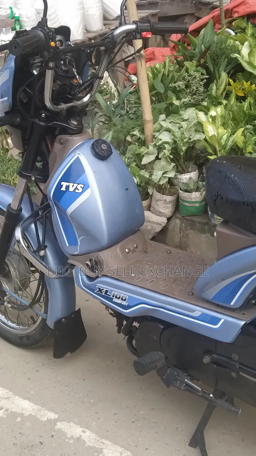 TVS XL 100 Comfort 2023 Blue
