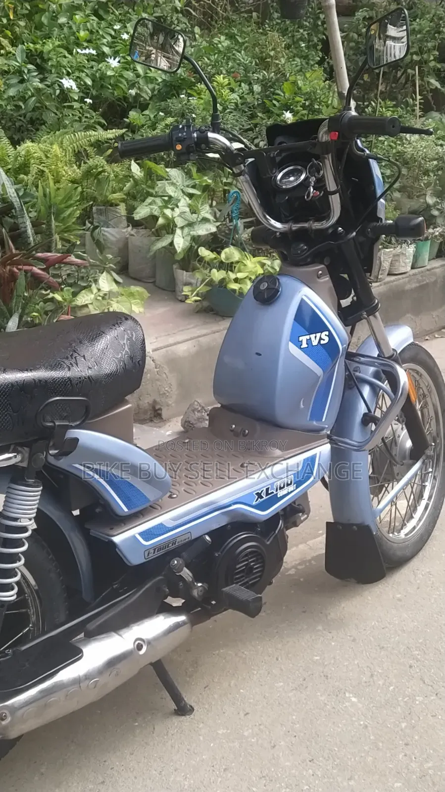 TVS XL 100 Comfort 2023 Blue