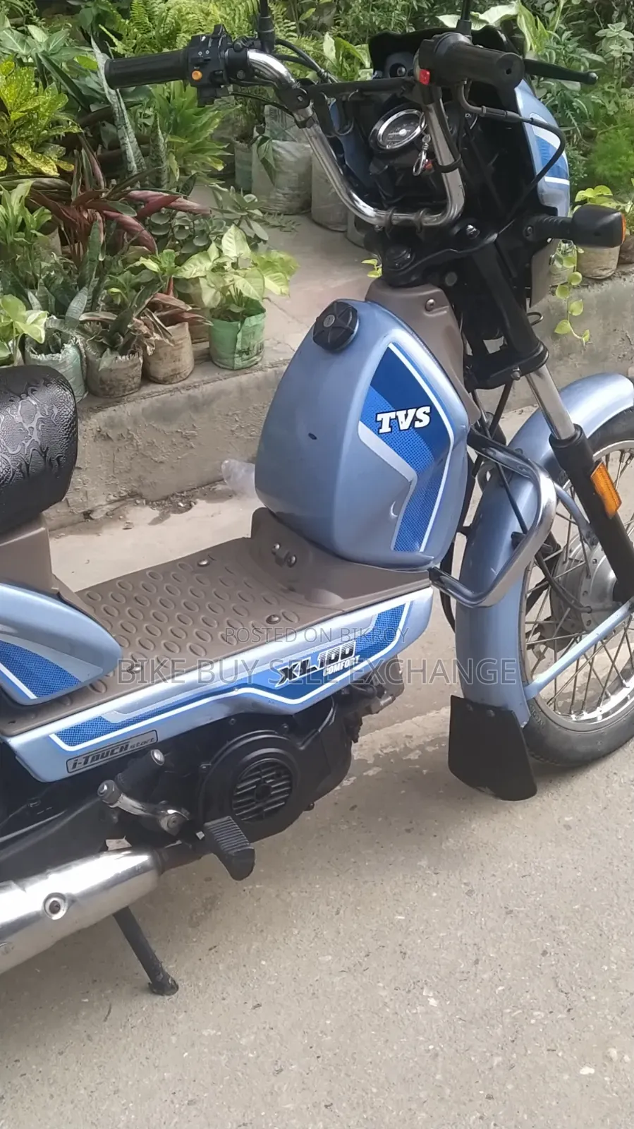 TVS XL 100 Comfort 2023 Blue