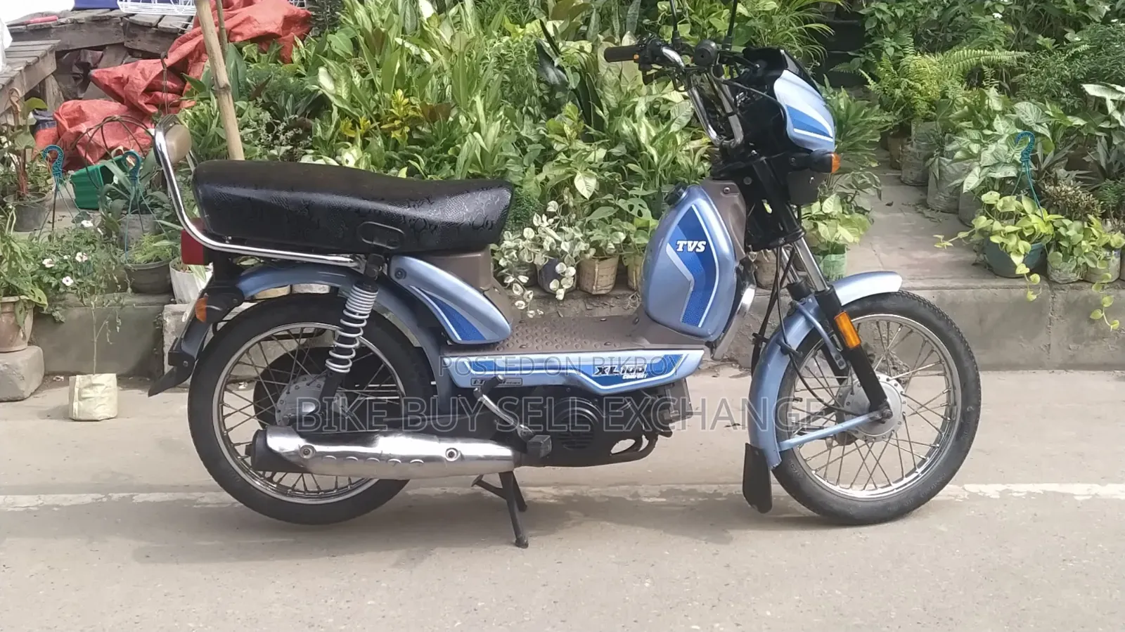 TVS XL 100 Comfort 2023 Blue