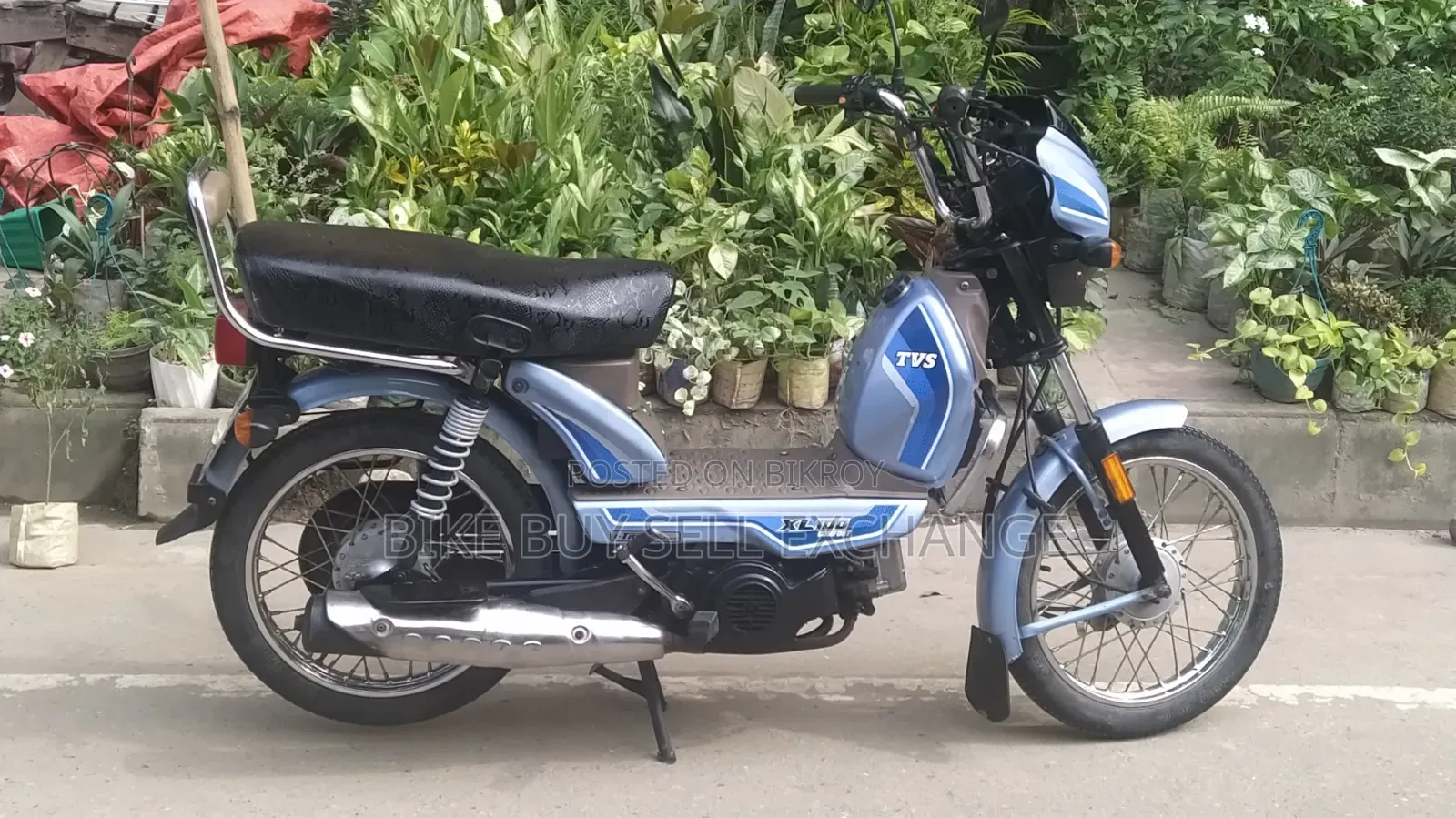 TVS XL 100 Comfort 2023 Blue