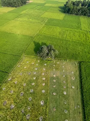 4.5 Bigha Single Deed Land for Factory or Project in Sreepur, Gazipur