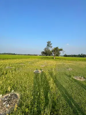 4.5 Bigha Single Deed Land for Factory or Project in Sreepur, Gazipur