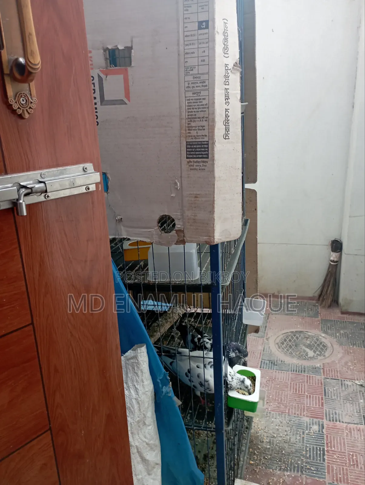 Three Months Used Pigeon Cage and a Pair of Pigeons