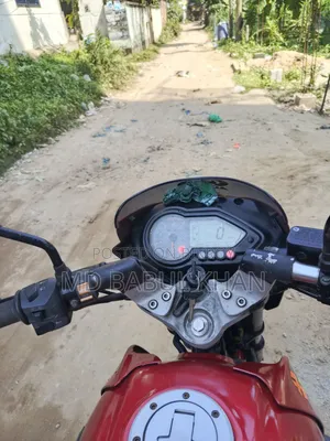 বাজাজ পালসার ১৫০ ২০১১ লাল