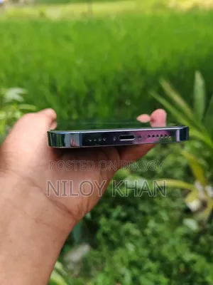 অ্যাপল আইফোন ১৩ প্রো ম্যাক্স ১২৮ জিবি নীল