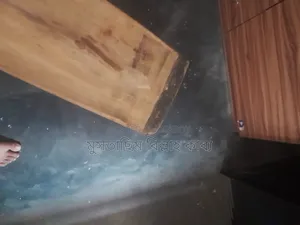 সিএ ১০০০০ ক্রিকেট ব্যাট