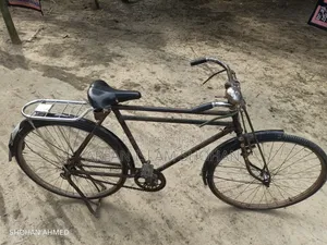 ফিনিক্স বাইসাইকেল