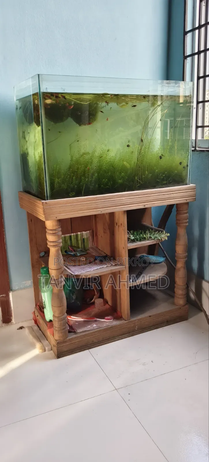 Fish Aquarium