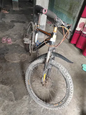 Bicycle for Sell