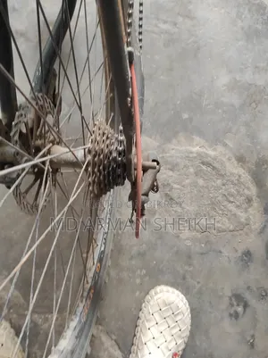 Bicycle for Sell