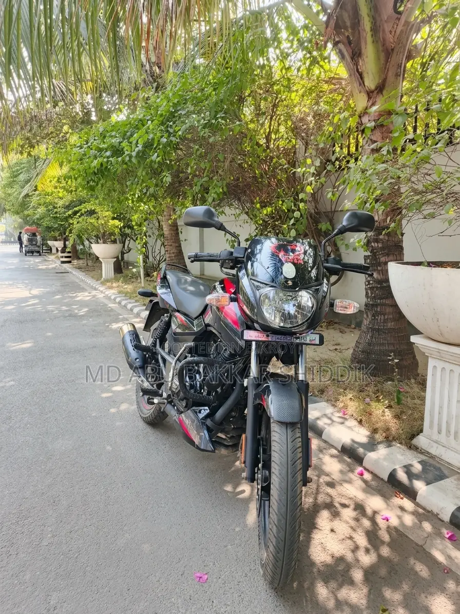 Bajaj Pulsar 150 2024 Black