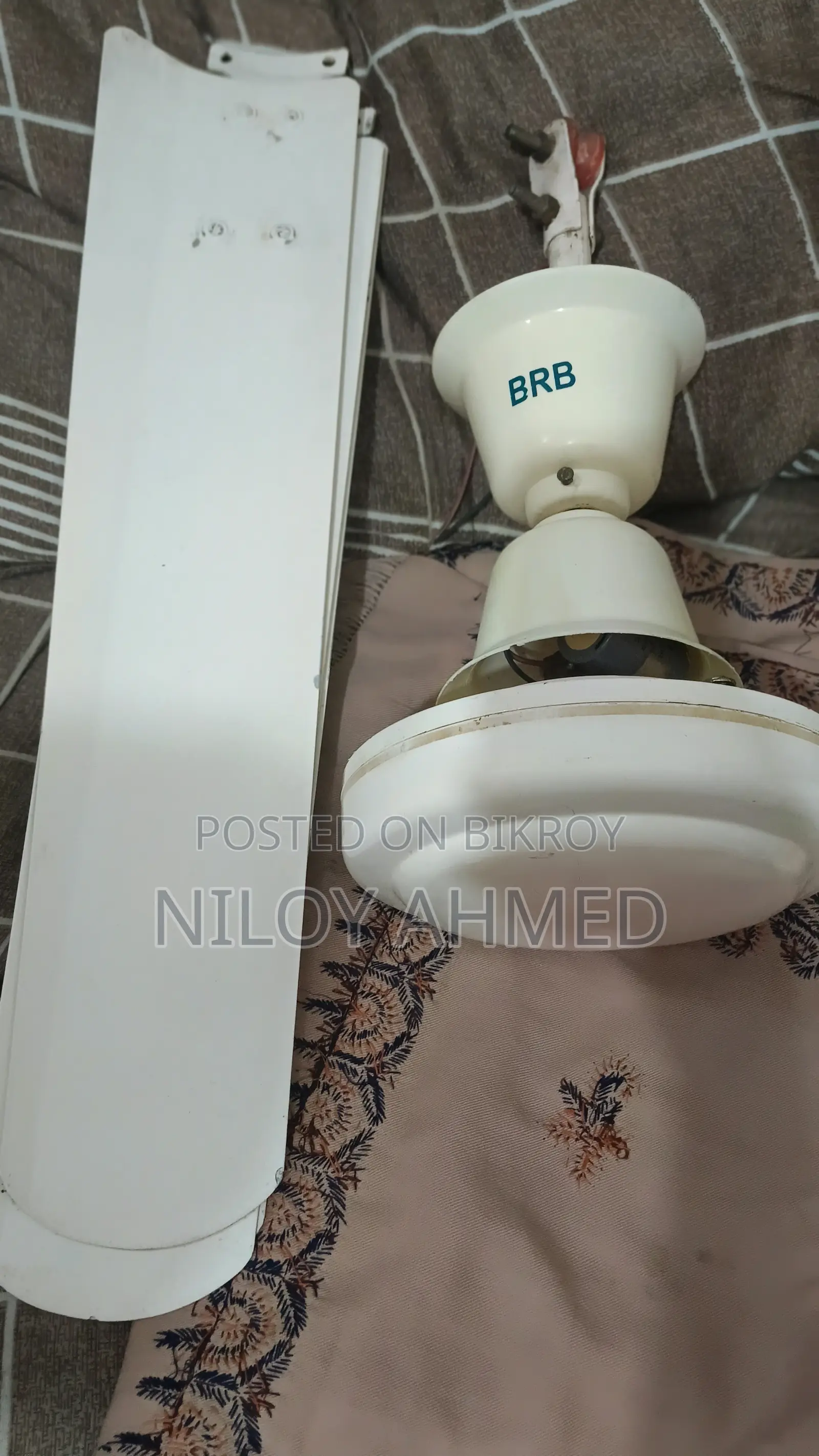 BRB Fan56"