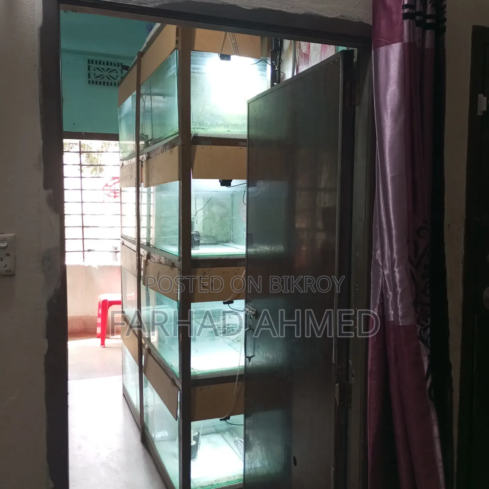আমার ব্যক্তিগত ব্যবহারিক একুরিয়ামটা ফুল সেটআপ সহ বিক্রয় হবে।