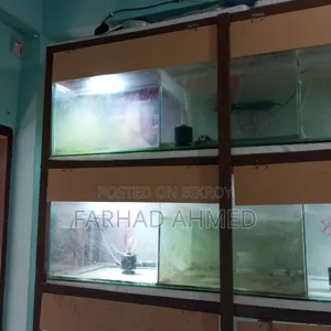 আমার ব্যক্তিগত ব্যবহারিক একুরিয়ামটা ফুল সেটআপ সহ বিক্রয় হবে।