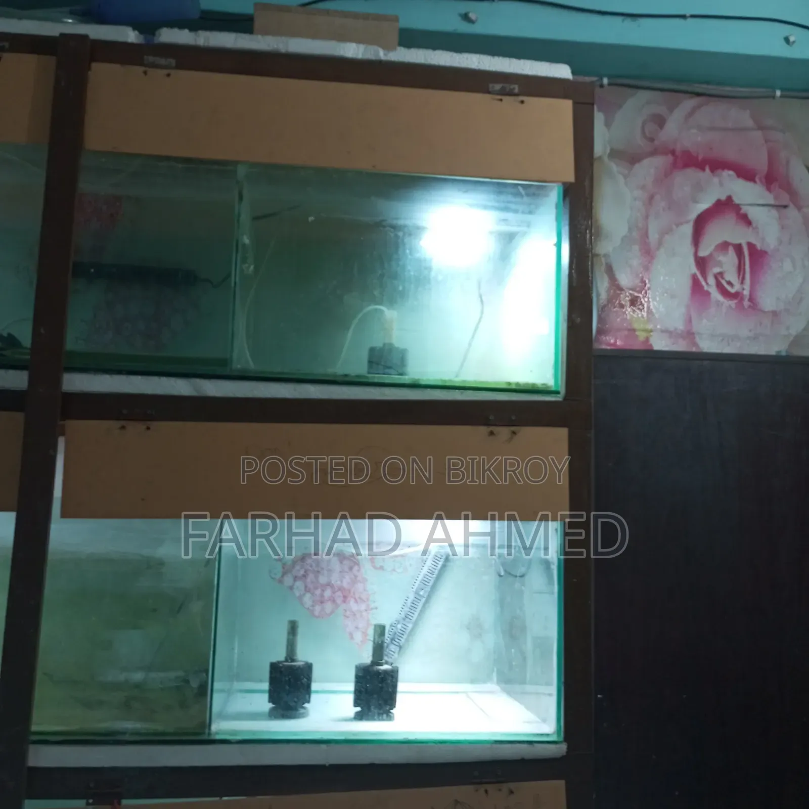 আমার ব্যক্তিগত ব্যবহারিক একুরিয়ামটা ফুল সেটআপ সহ বিক্রয় হবে।