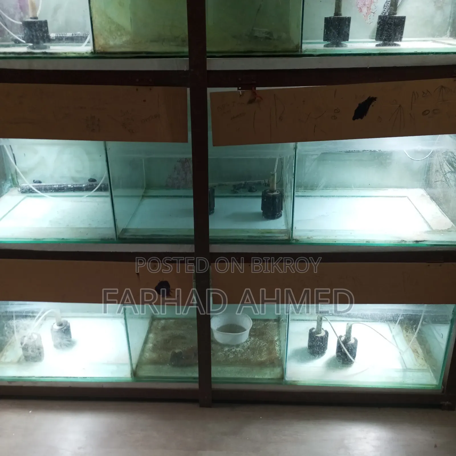আমার ব্যক্তিগত ব্যবহারিক একুরিয়ামটা ফুল সেটআপ সহ বিক্রয় হবে।