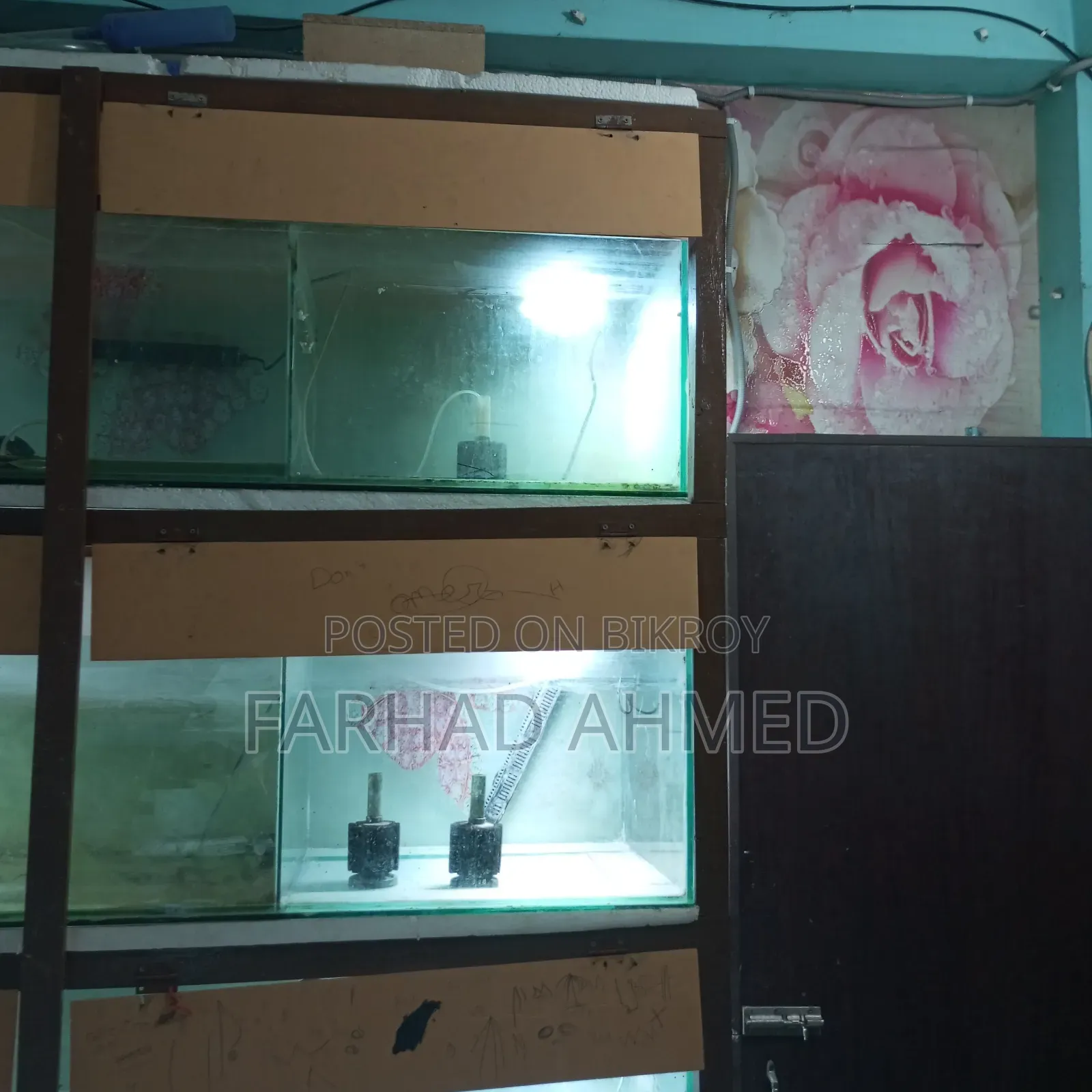 আমার ব্যক্তিগত ব্যবহারিক একুরিয়ামটা ফুল সেটআপ সহ বিক্রয় হবে।