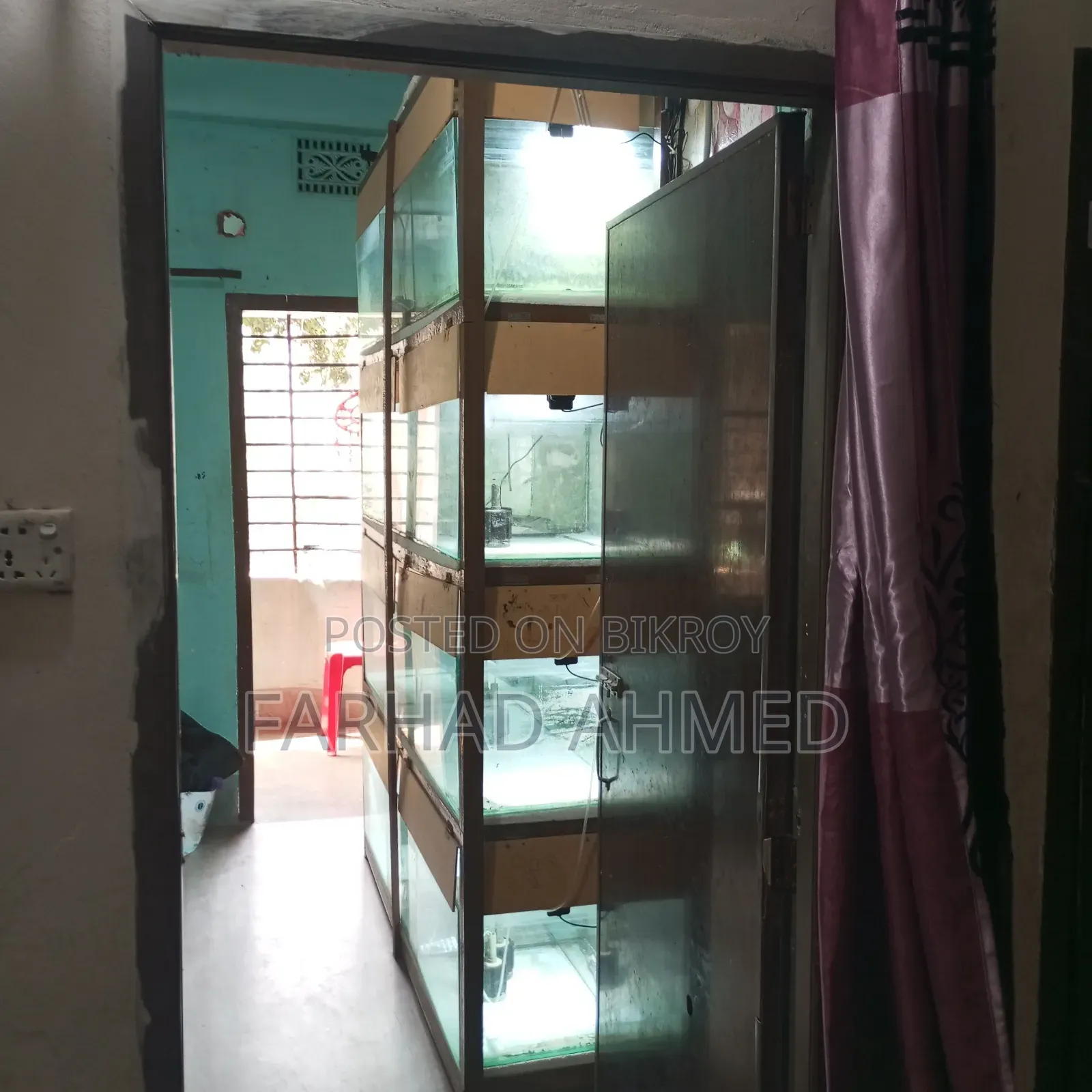 আমার ব্যক্তিগত ব্যবহারিক একুরিয়ামটা ফুল সেটআপ সহ বিক্রয় হবে।