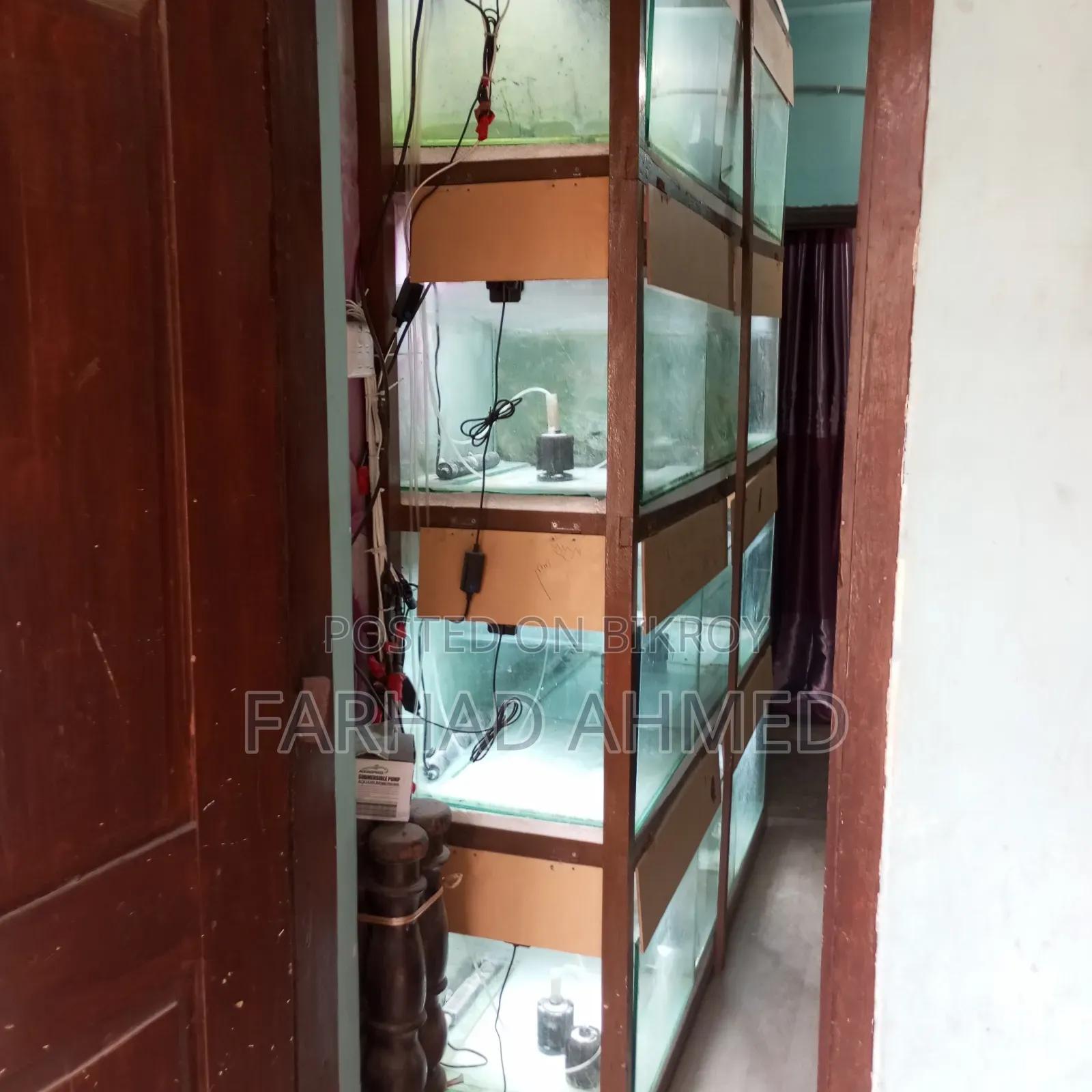 আমার ব্যক্তিগত ব্যবহারিক একুরিয়ামটা ফুল সেটআপ সহ বিক্রয় হবে।