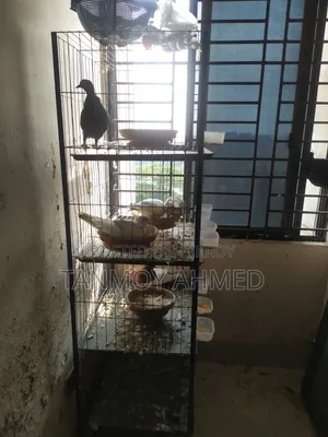 Urgent Sale