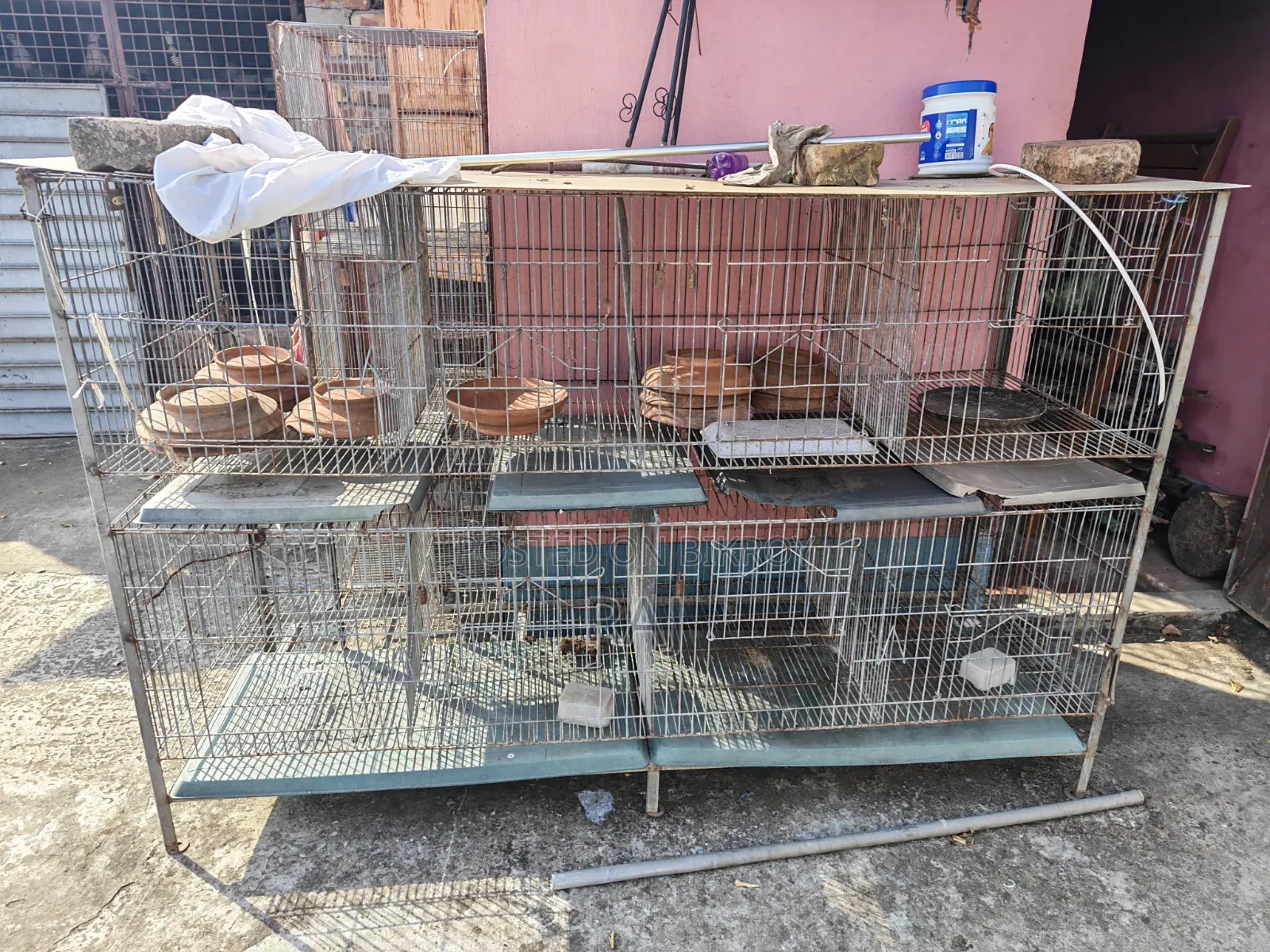 Pigeons and cage for sale