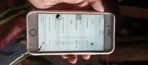 অ্যাপল আইফোন ৬এস ১৬ জিবি গোলাপি
