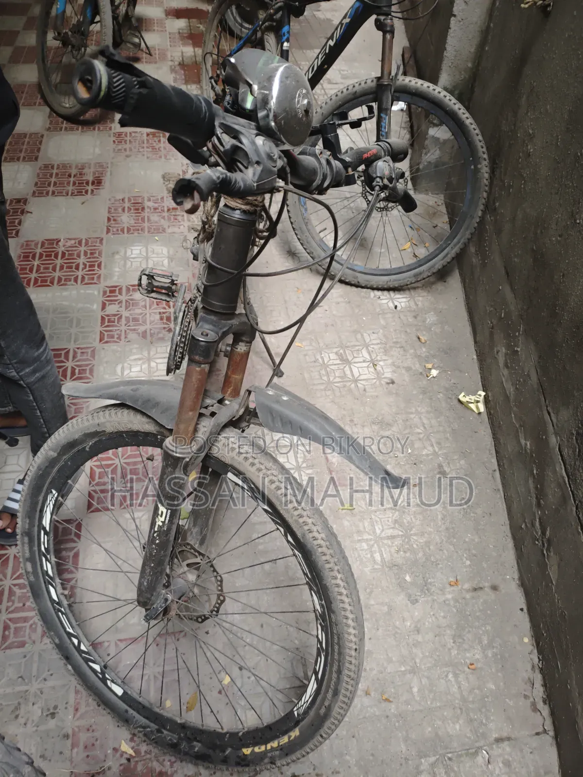 সাইকেল ফিনিক্স