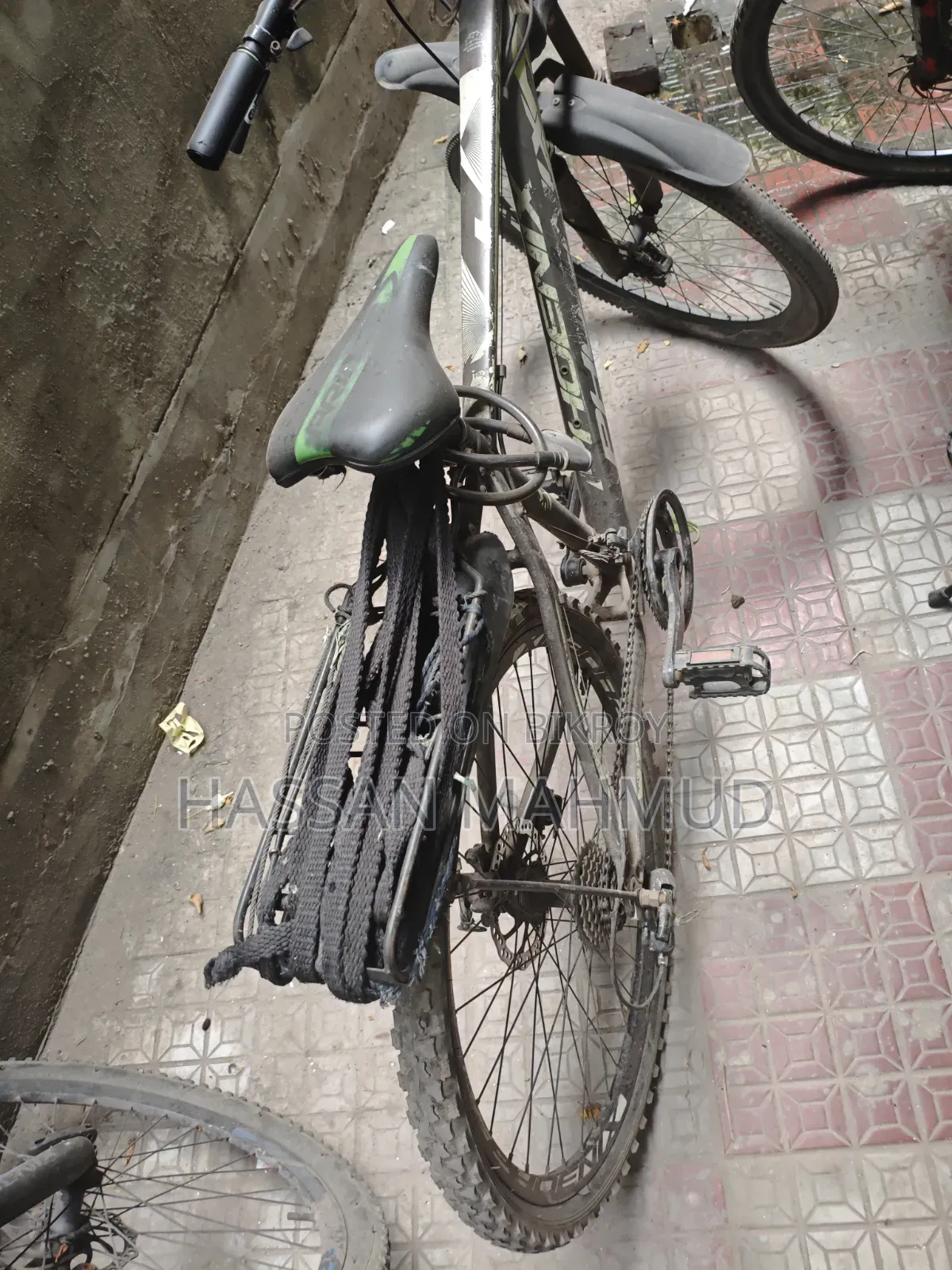 সাইকেল ফিনিক্স