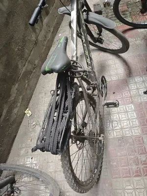 সাইকেল ফিনিক্স