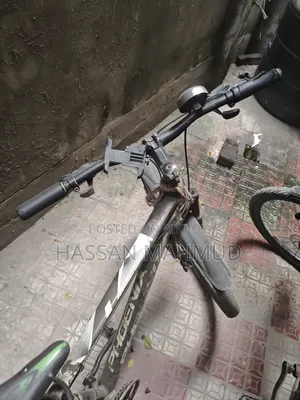 সাইকেল ফিনিক্স