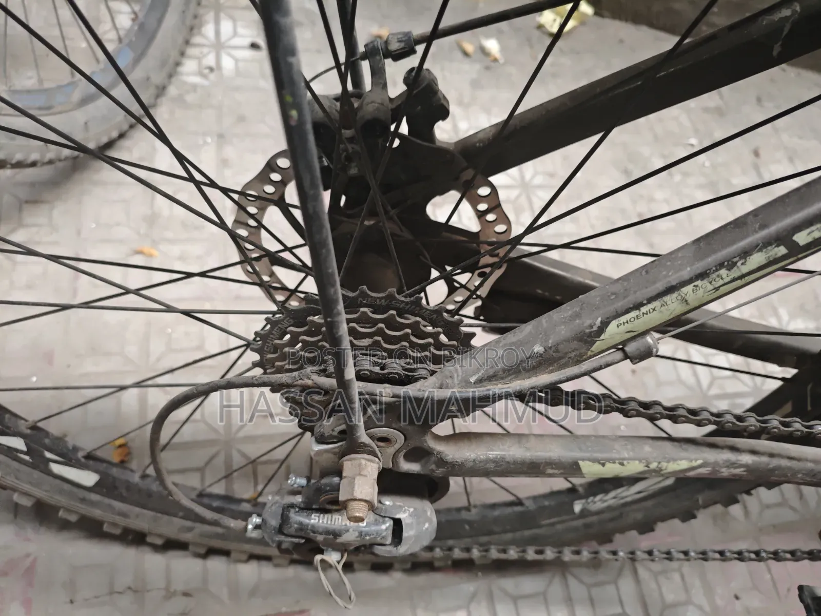 সাইকেল ফিনিক্স