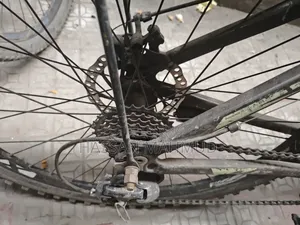 সাইকেল ফিনিক্স