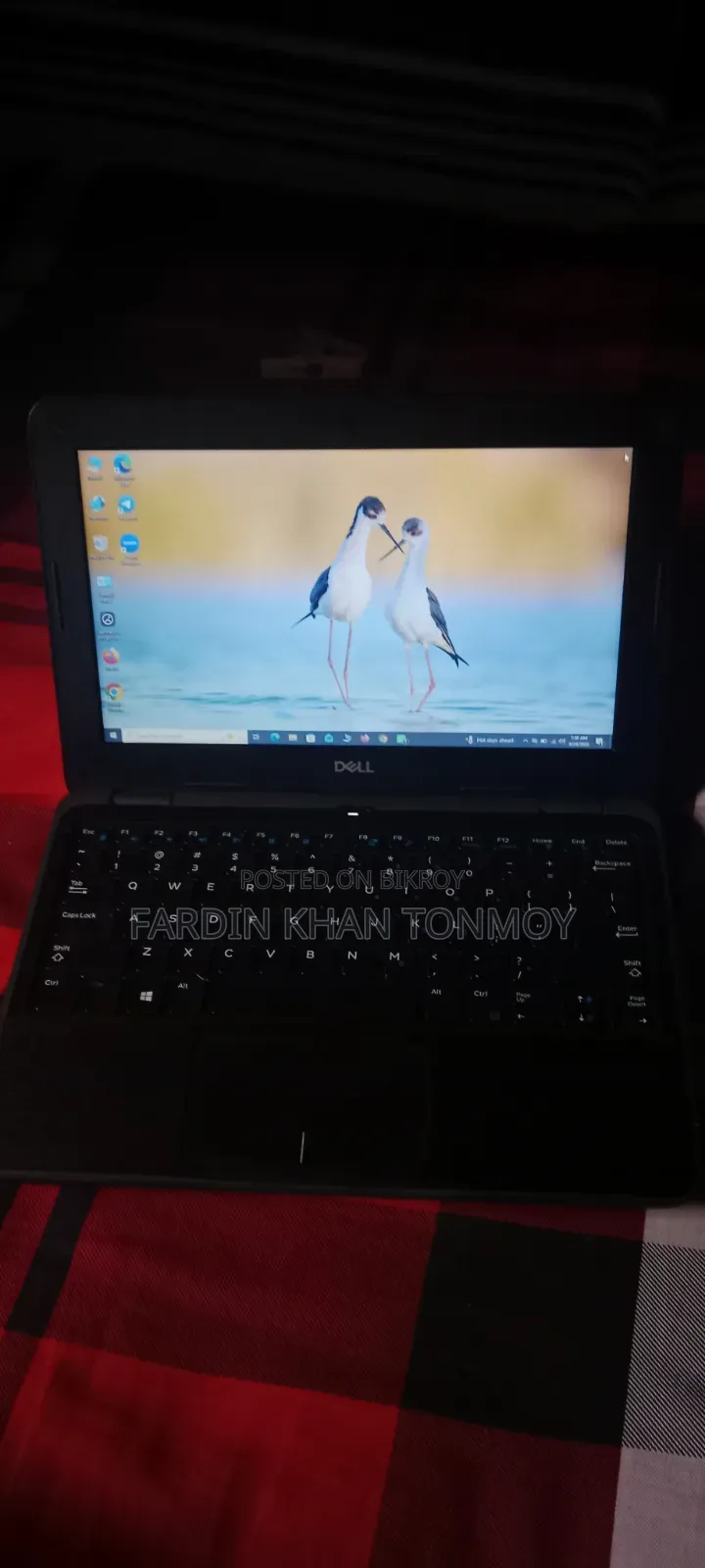 Laptop Dell Latitude 11 3190 8GB Intel Pentium SSD 128GB