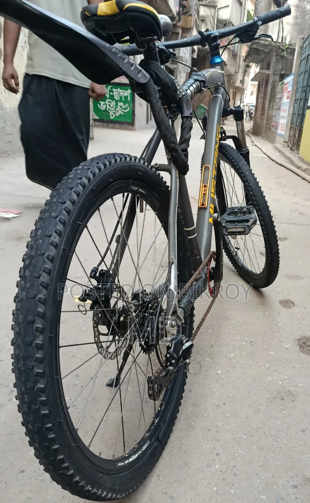 Mustang Cycle