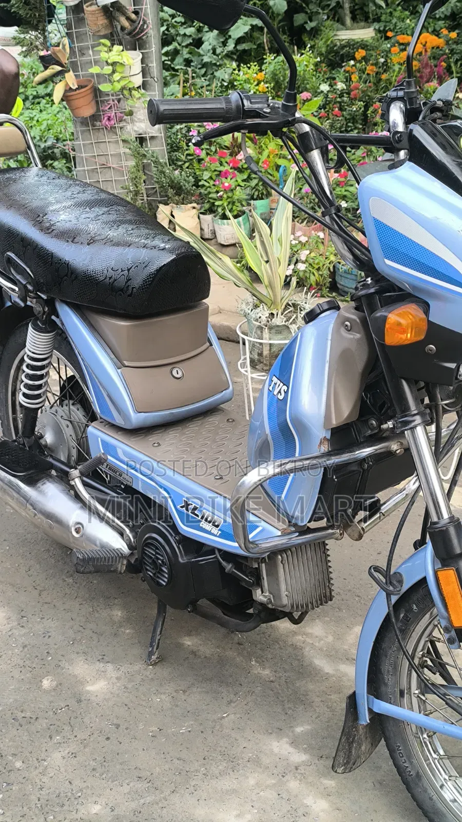 TVS XL 100 Comfort 2023