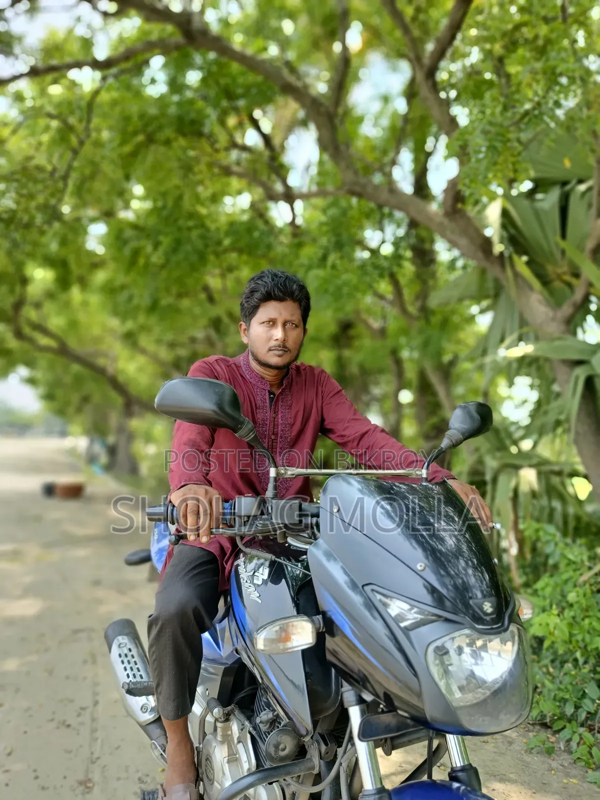 Bajaj Pulsar 150 2015 Blue