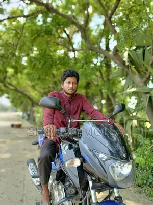 Bajaj Pulsar 150 2015 Blue